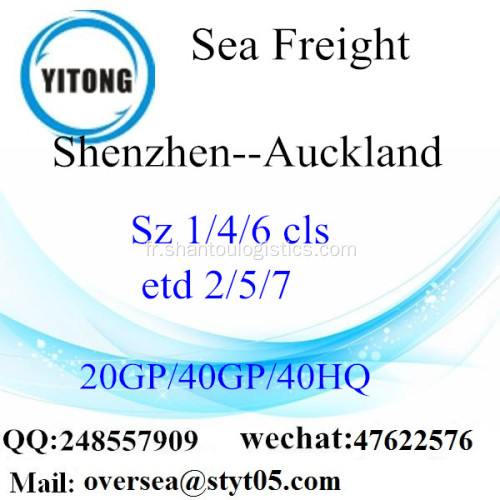 Fret maritime Port de Shenzhen expédition à Auckland